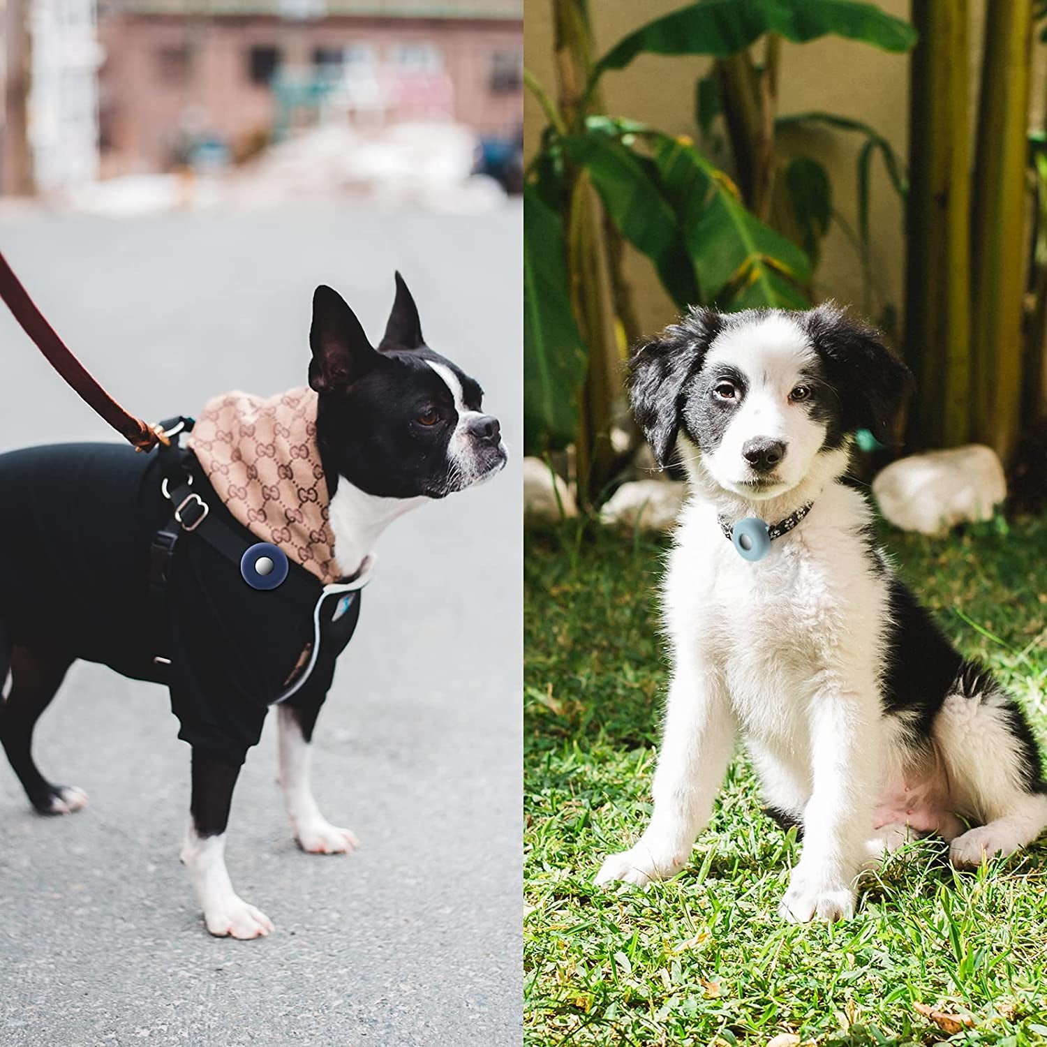 Dog Collar Holder for Airtag, 2 Pack Silicone Pet Collar Case for Apple Airtags, Anti-Lost Waterproof Airtag Dog Collar Holder GPS Tracker Compatible with Cat Dog Collars Charms Air Tag Mount Harness